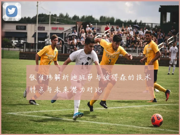 张佳玮解析迪班萨与彼得森的技术特点与未来潜力对比
