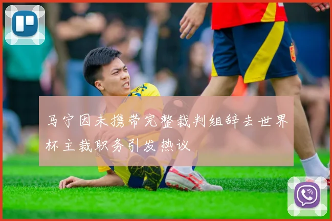 马宁因未携带完整裁判组辞去世界杯主裁职务引发热议
